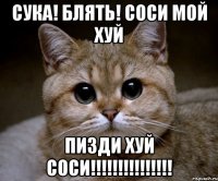 сука! блять! соси мой хуй пизди хуй соси!!!!!!!!!!!!!!!