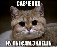 савченко ну ты сам знаешь