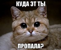 куда эт ты пропала?