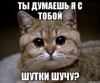 ты думаешь я с тобой шутки шучу?