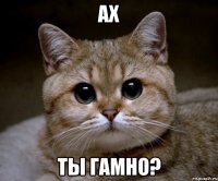 ах ты гамно?