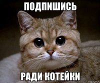 Подпишись Ради котейки