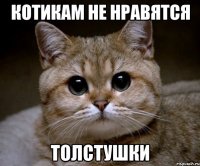 Котикам не нравятся Толстушки