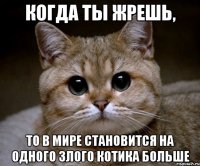 Когда ты жрешь, То в мире становится на одного злого котика больше