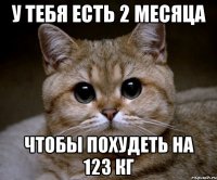 У тебя есть 2 месяца Чтобы похудеть на 123 кг