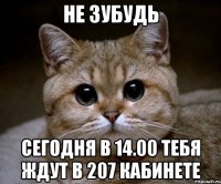 Не зубудь Сегодня в 14.00 тебя ждут в 207 кабинете