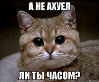 А не ахуел ли ты часом?