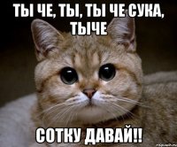 ты че, ты, ты че сука, тыче сотку давай!!