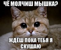 Чё молчиш мышка? Ждёш пока тебя я скушаю