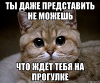 Ты даже представить не можешь что ждёт тебя на прогулке