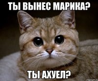 Ты вынес марика? ты ахуел?