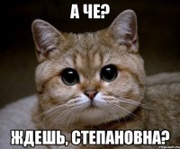 А че? Ждешь, Степановна?