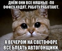 Днём они все няшные -по офису ходят, работу работают. а вечером на светофоре все блеать автогонщики.