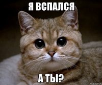 я вспался а ты?