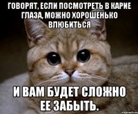 Говорят, если посмотреть в карие глаза, можно хорошенько влюбиться И вам будет сложно ее забыть.