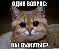 один вопрос: Вы ебанутые?