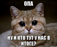 опа ну и кто тут у нас в итоге?