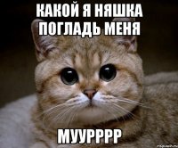 КАКОЙ Я НЯШКА ПОГЛАДЬ МЕНЯ МУУРРРР