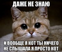 Даже не знаю и вообще я кот ты ничего не слышала я просто кот