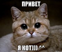 привет я кот))) ^^