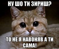 ну шо ти зириш? то не я навоняв а ти сама!