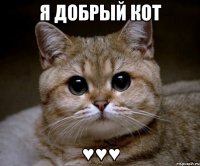 Я добрый кот ♥♥♥