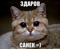 Здаров Санек =)