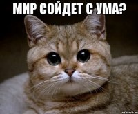 Мир сойдет с ума? 