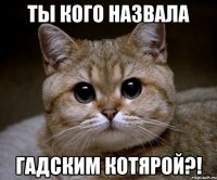 Ты кого назвала гадским котярой?!