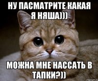 Ну пасматрите какая я няша))) можна мне нассать в тапки?))