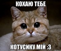 Кохаю Тебе Котусику Мій :3