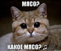 Мясо? Какое мясо? ♫ ☼