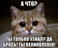 А что? Ты только узнал? Да брось! Ты великолепен!