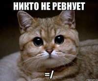 Никто не ревнует =/