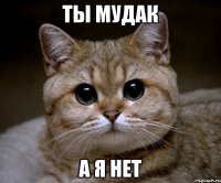 ты мудак а я нет