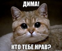 Дима! кто тебе нрав?