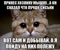 ПРИНЕС ХОЗЯИНУ МЫШКУ...А ОН СКАЗАЛ ЧТО ЛУЧШЕ СИСЬКИ ВОТ САМ И ДОБЫВАЙ, А Я ПОЙДУ НА НИХ ПОЛЕЖУ