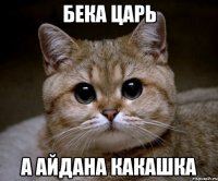 Бека царь а Айдана какашка