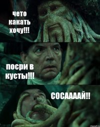 чето какать хочу!!! посри в кусты!!! СОСААААЙ!!