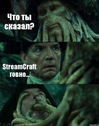 Что ты сказал? StreamCraft говно... 