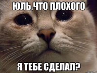 Юль,что плохого я тебе сделал?