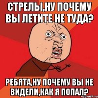 Стрелы,ну почему вы летите не туда? Ребята,ну почему вы не видели,как я попал?