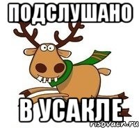 Подслушано В Усакле