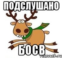 Подслушано БОСВ