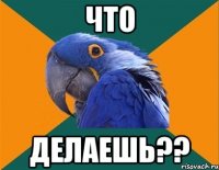 Что Делаешь??