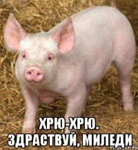  Хрю-хрю. Здраствуй, Миледи