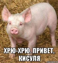 Хрю-хрю. Привет, Кисуля