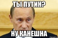 ты путин? ну канешна