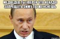 медведев ты уверен что ненадо запрещать зиму ты же уснёшь 