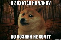 Я захотел на улицу но хозяин не хочет